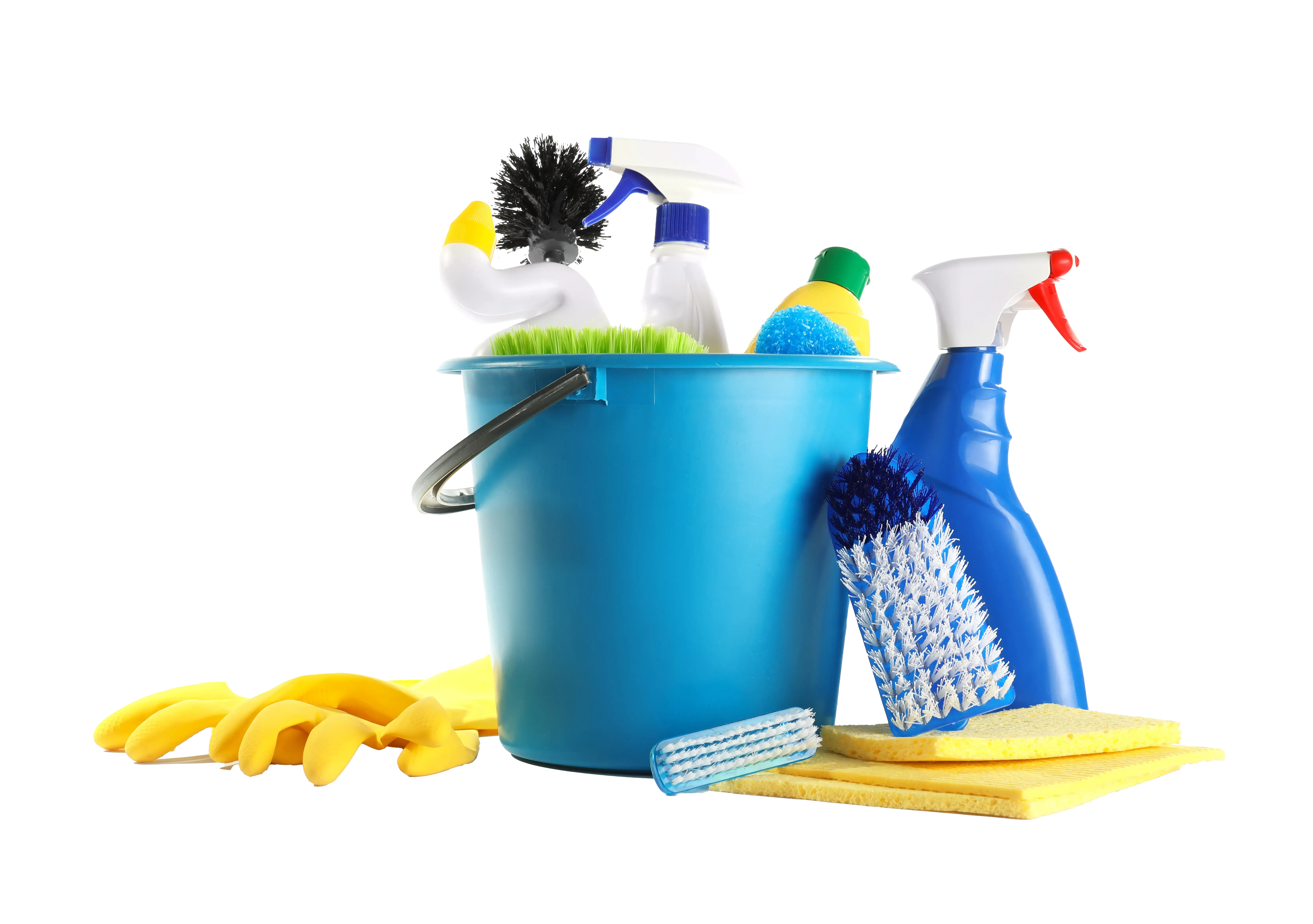 Gebäudereinigung Traunstein Putzmittel im Eimer
